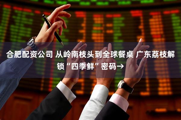 合肥配资公司 从岭南枝头到全球餐桌 广东荔枝解锁“四季鲜”密码→