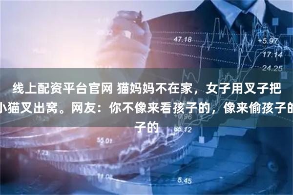 线上配资平台官网 猫妈妈不在家,女子用叉子把小猫叉出窝。网友:你不像来看孩子的,像来偷孩子的